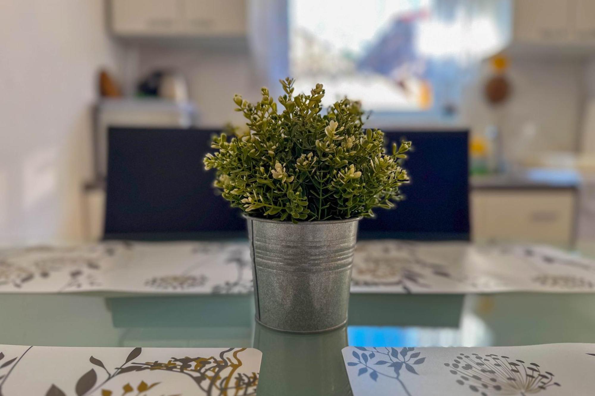 Apartmani Trupeljak Mandre Dış mekan fotoğraf